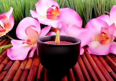 Candle surrounded by pink flowers